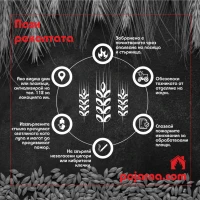 Пожарна безопасност