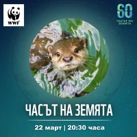 Световният ден на водата